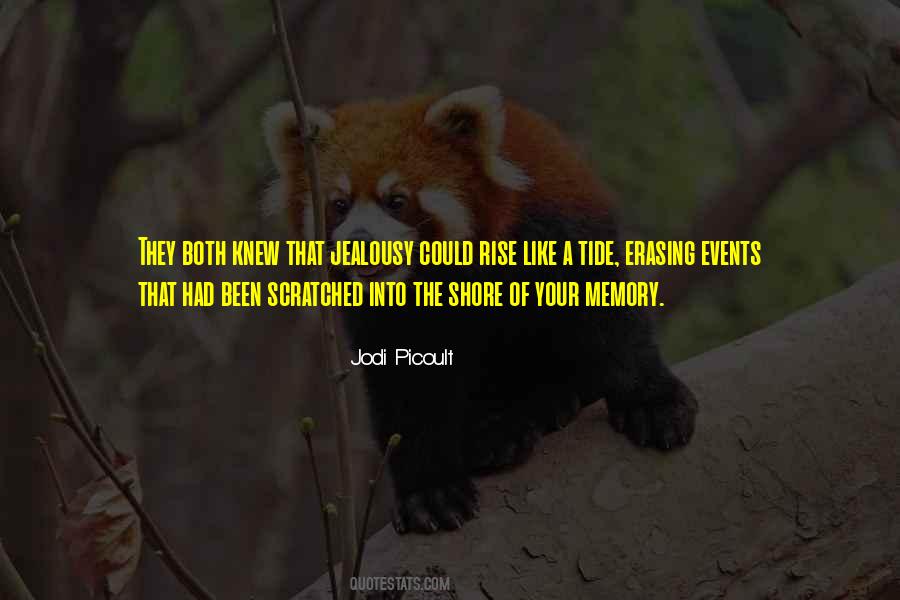 Jodi Picoult Quotes #792451