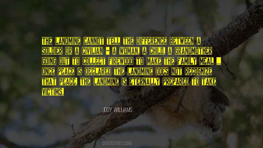 Jody Williams Quotes #1637478