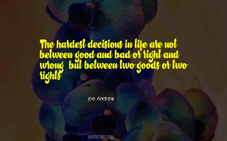 Joe Andrew Quotes #1621603