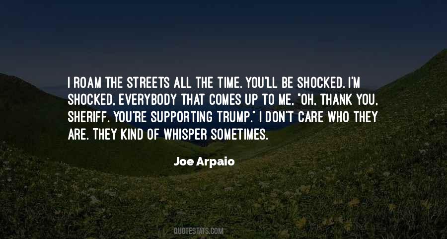 Joe Arpaio Quotes #5816