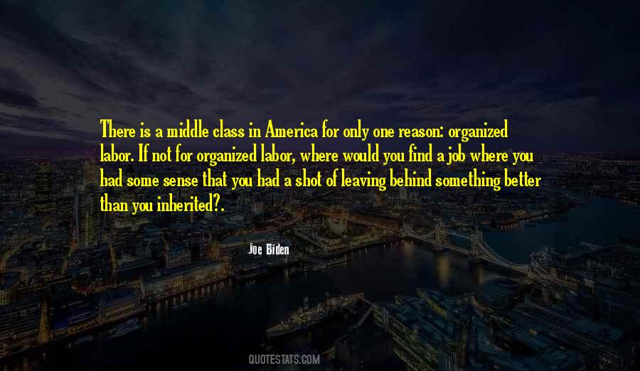 Joe Biden Quotes #505158