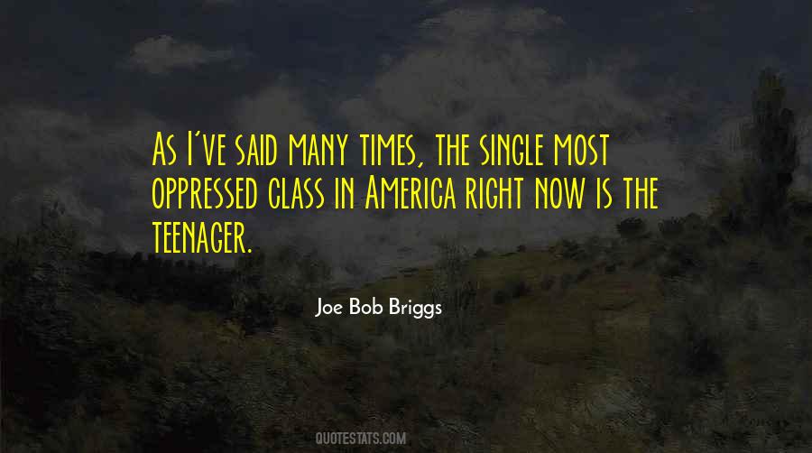 Joe Bob Briggs Quotes #455673