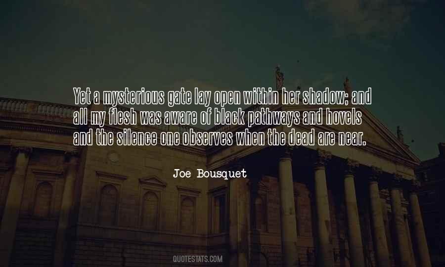 Joe Bousquet Quotes #1105284