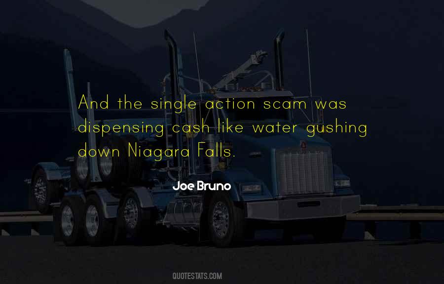 Joe Bruno Quotes #1679396