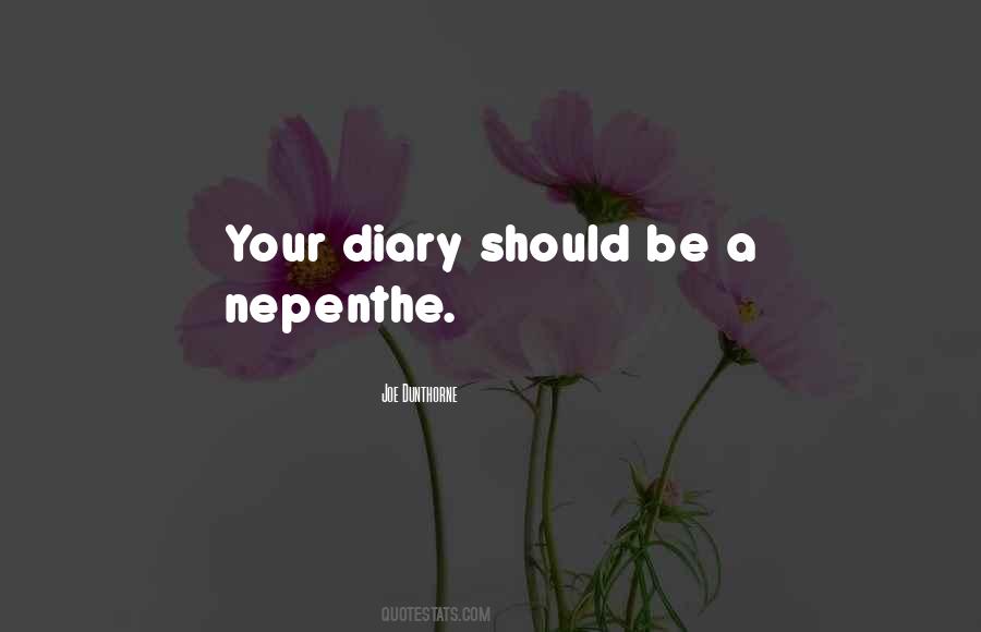Joe Dunthorne Quotes #1784751