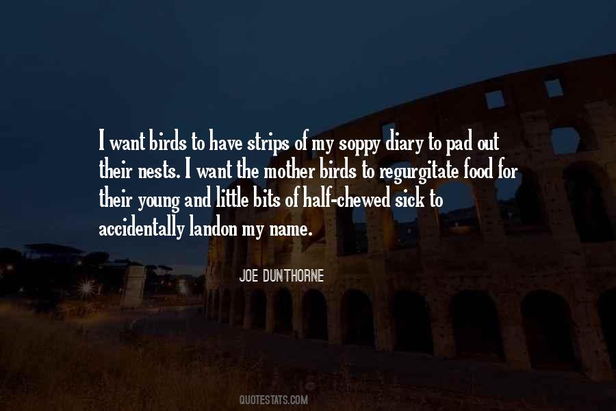 Joe Dunthorne Quotes #979145
