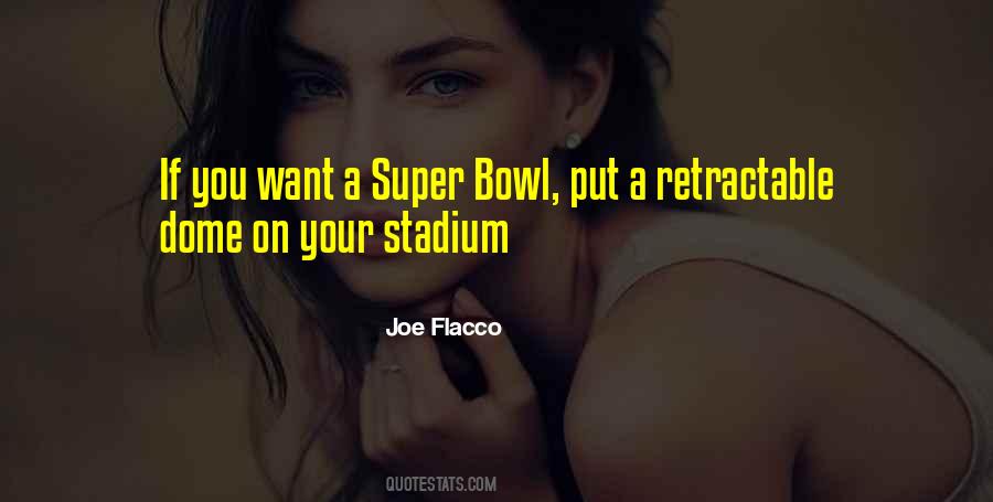 Joe Flacco Quotes #1476195