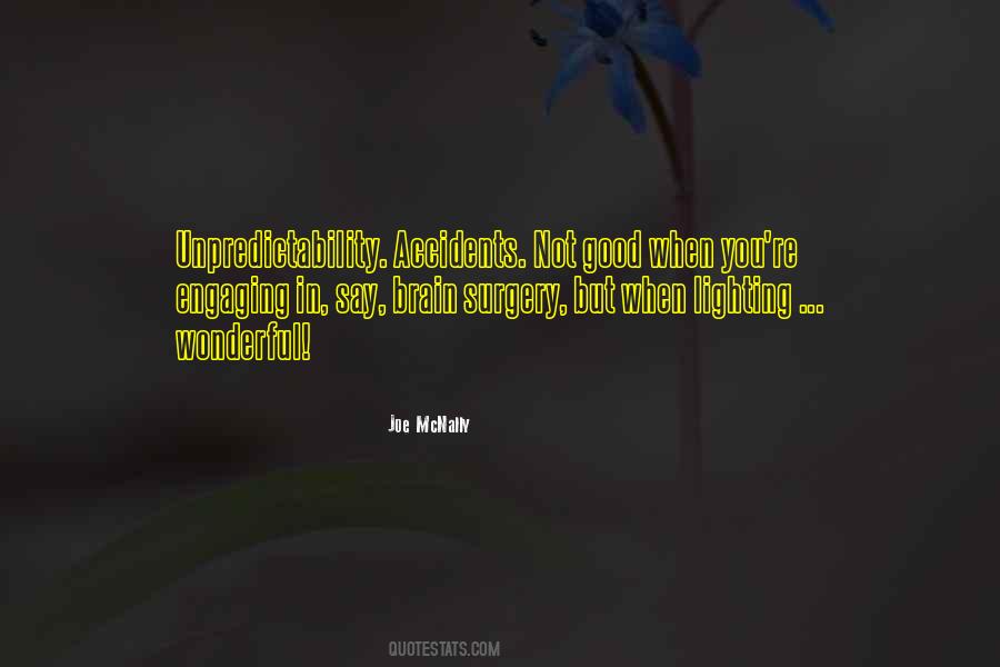 Joe McNally Quotes #1759959