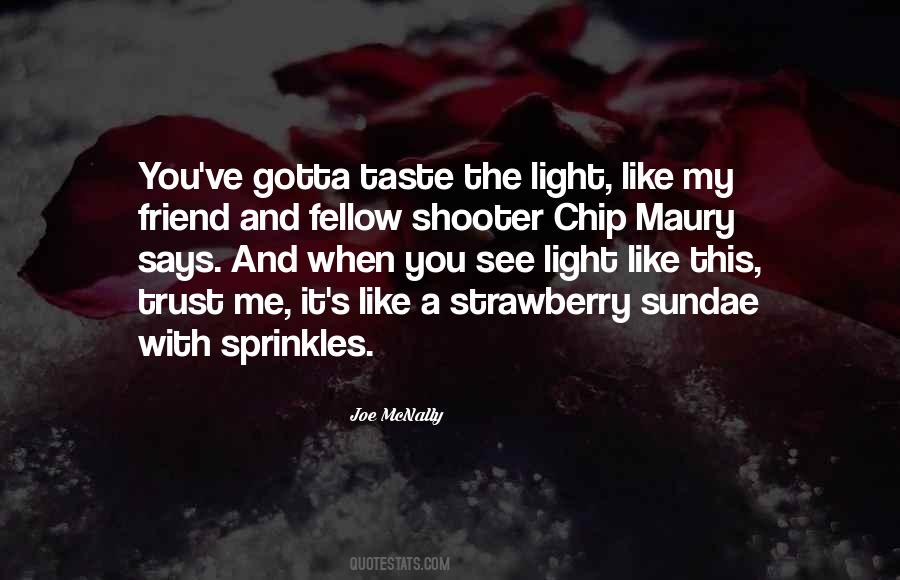 Joe McNally Quotes #342708