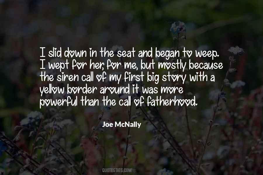 Joe McNally Quotes #723886