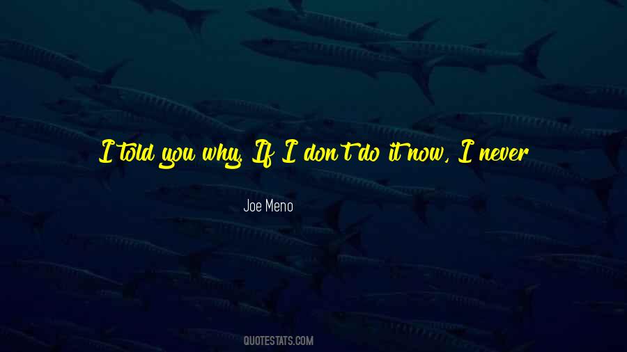 Joe Meno Quotes #1091673