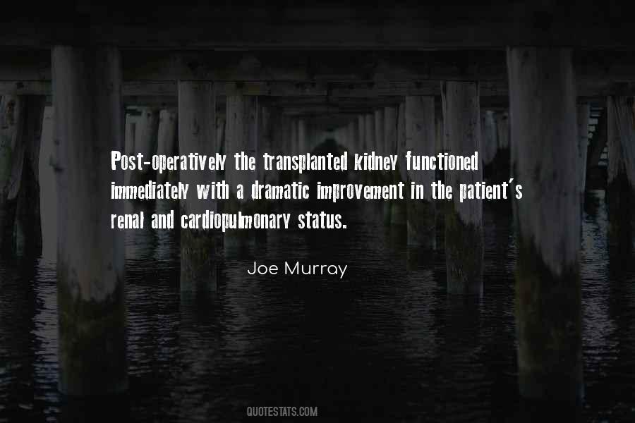 Joe Murray Quotes #1340000