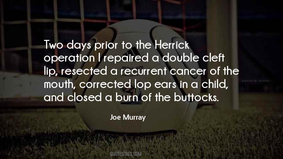 Joe Murray Quotes #282476