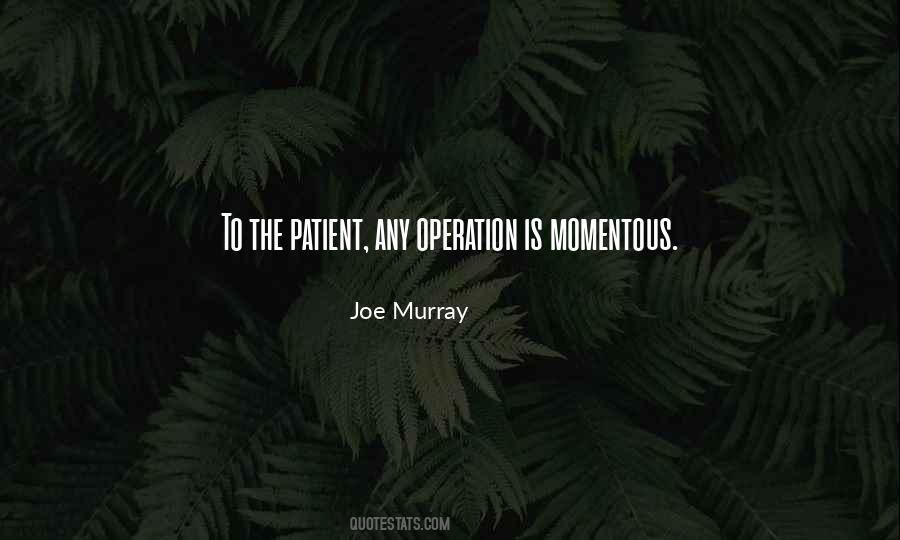 Joe Murray Quotes #555516