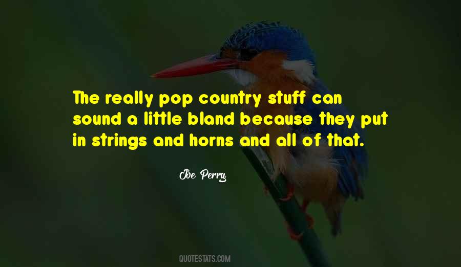 Joe Perry Quotes #272418