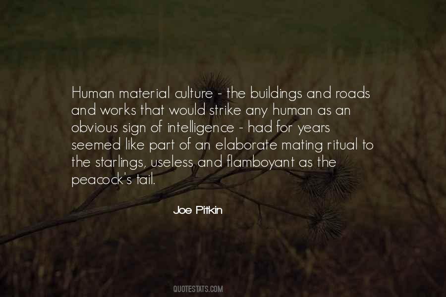 Joe Pitkin Quotes #996068