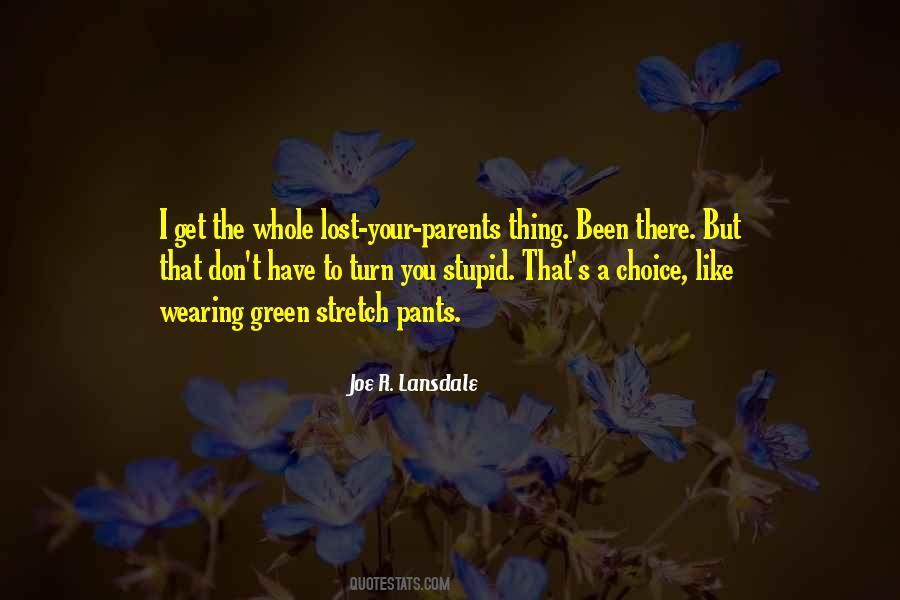 Joe R. Lansdale Quotes #421595