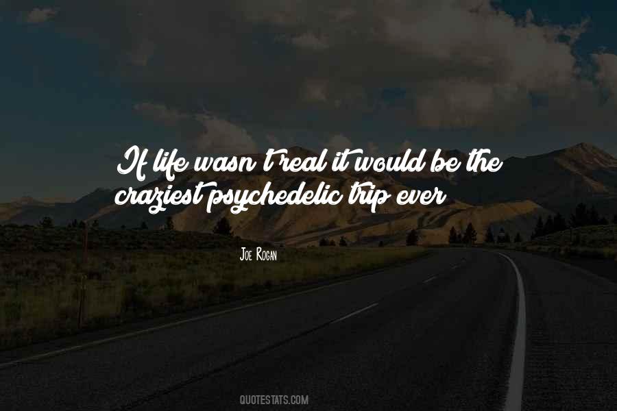 Joe Rogan Quotes #204343