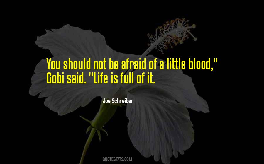 Joe Schreiber Quotes #118919