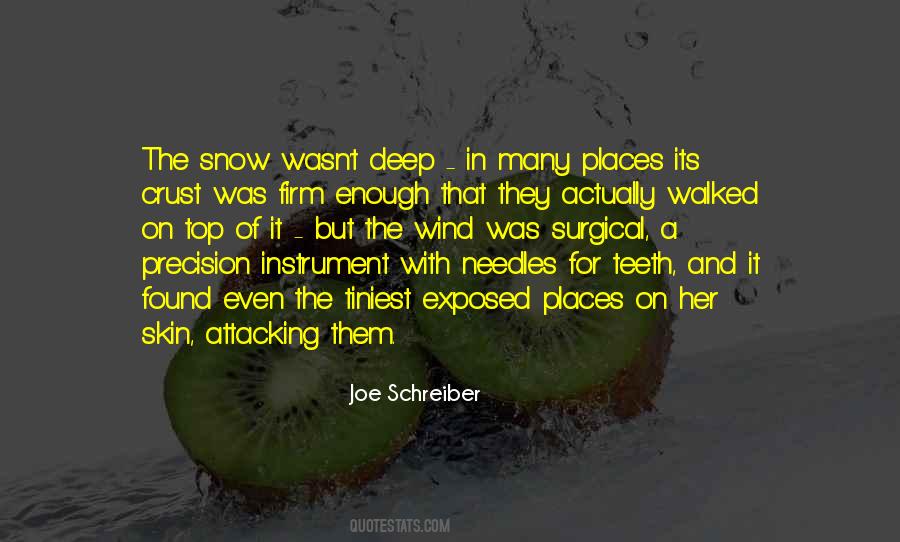 Joe Schreiber Quotes #236171
