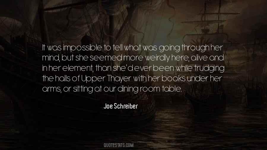 Joe Schreiber Quotes #935954