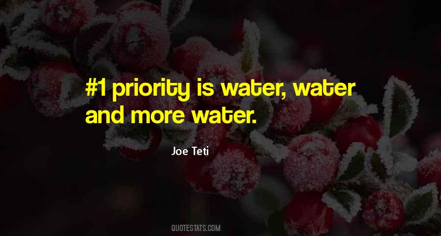 Joe Teti Quotes #1022480