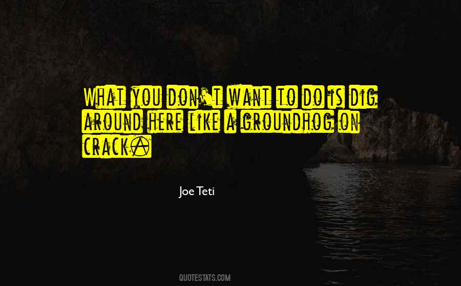 Joe Teti Quotes #457212