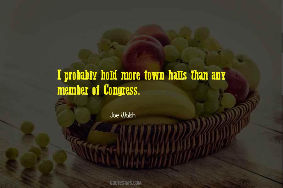 Joe Walsh Quotes #1607932