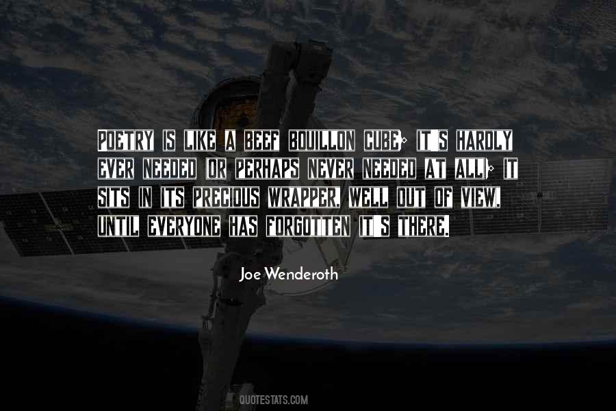 Joe Wenderoth Quotes #826763