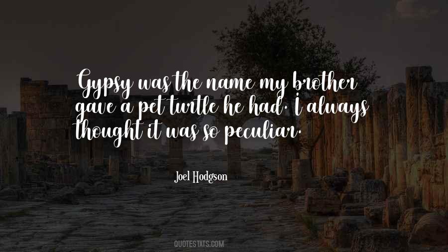 Joel Hodgson Quotes #1587229