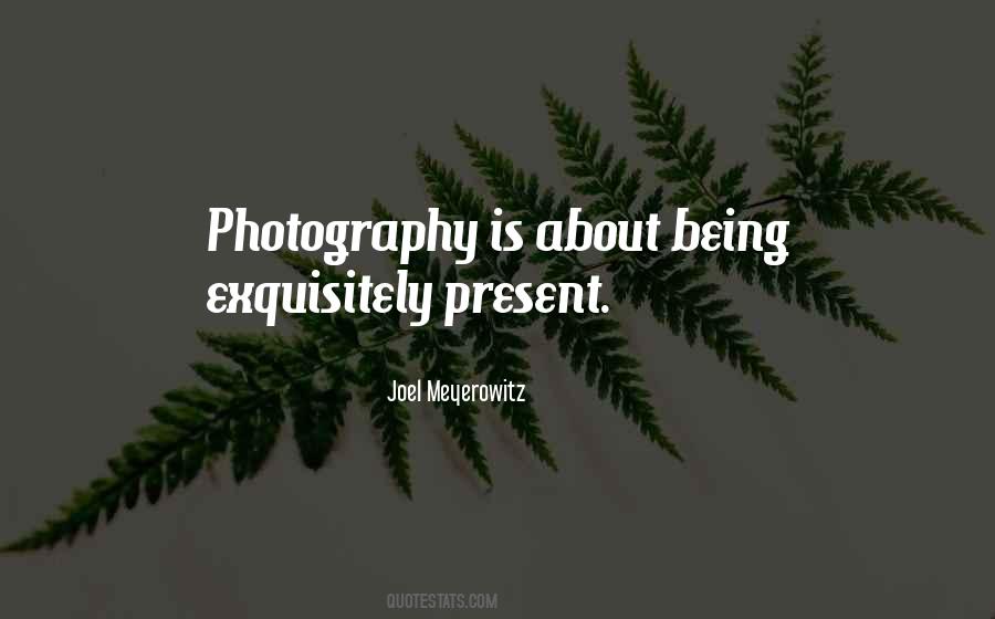 Joel Meyerowitz Quotes #1303139