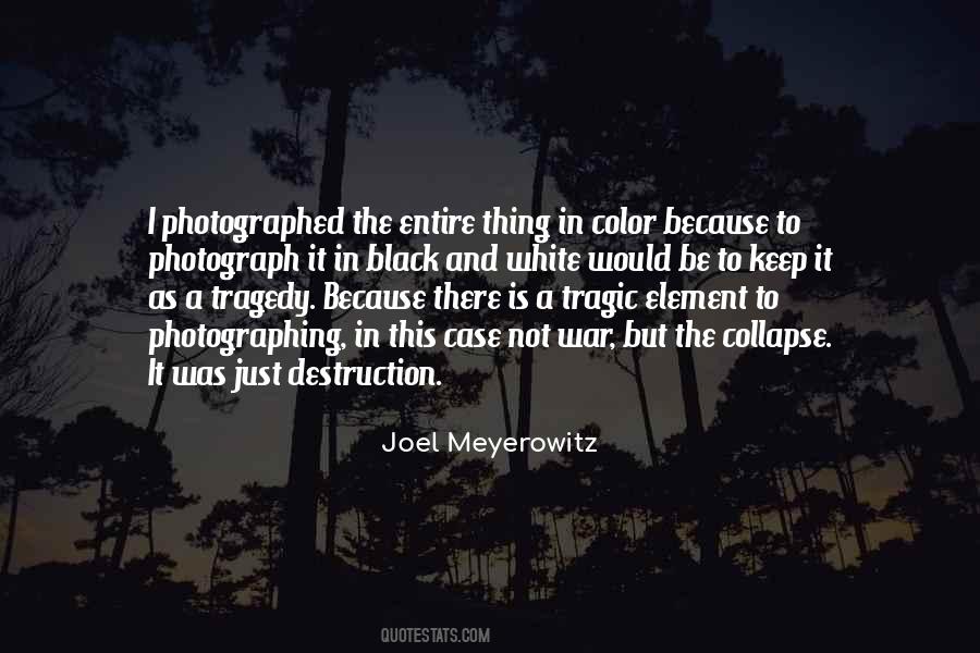 Joel Meyerowitz Quotes #824285