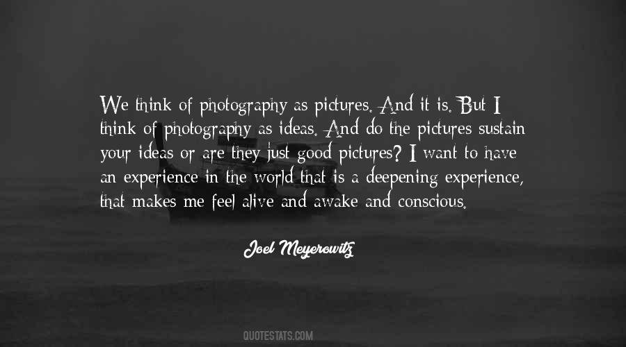 Joel Meyerowitz Quotes #865241