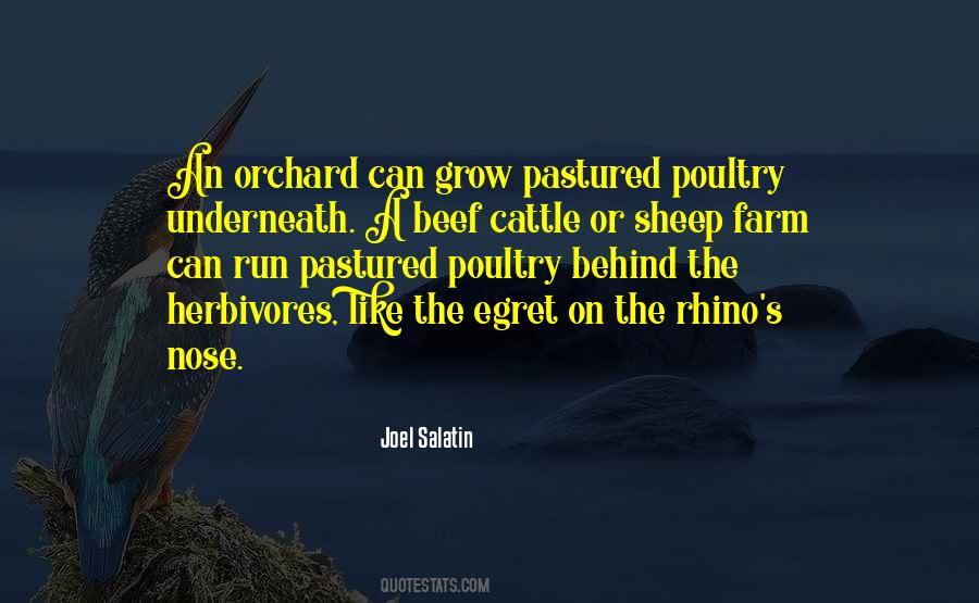 Joel Salatin Quotes #1133682