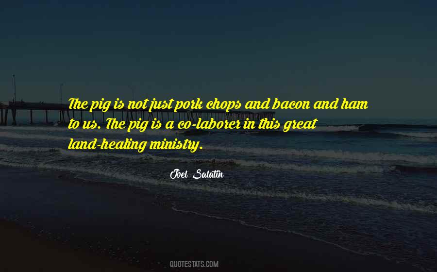 Joel Salatin Quotes #321792