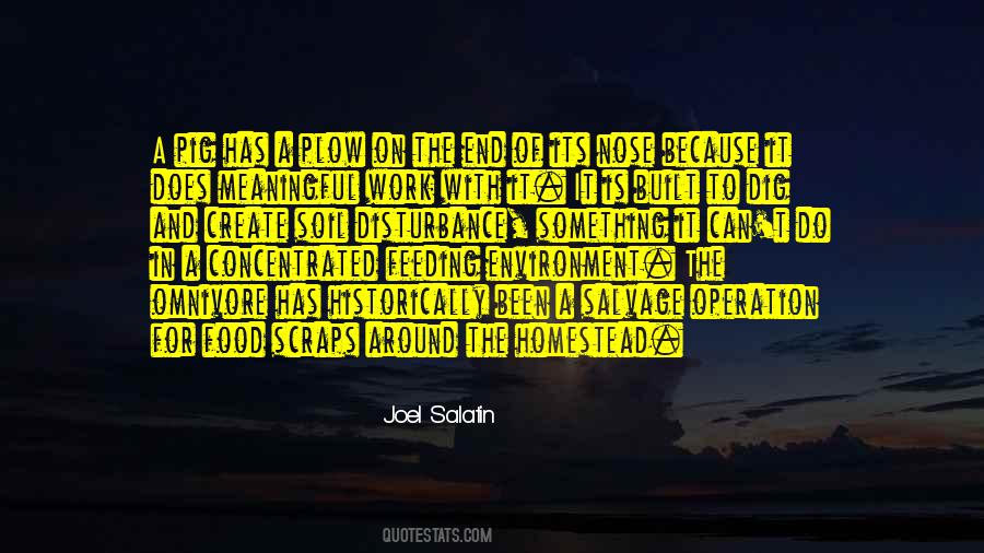 Joel Salatin Quotes #916592