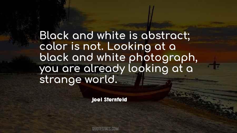 Joel Sternfeld Quotes #1156589