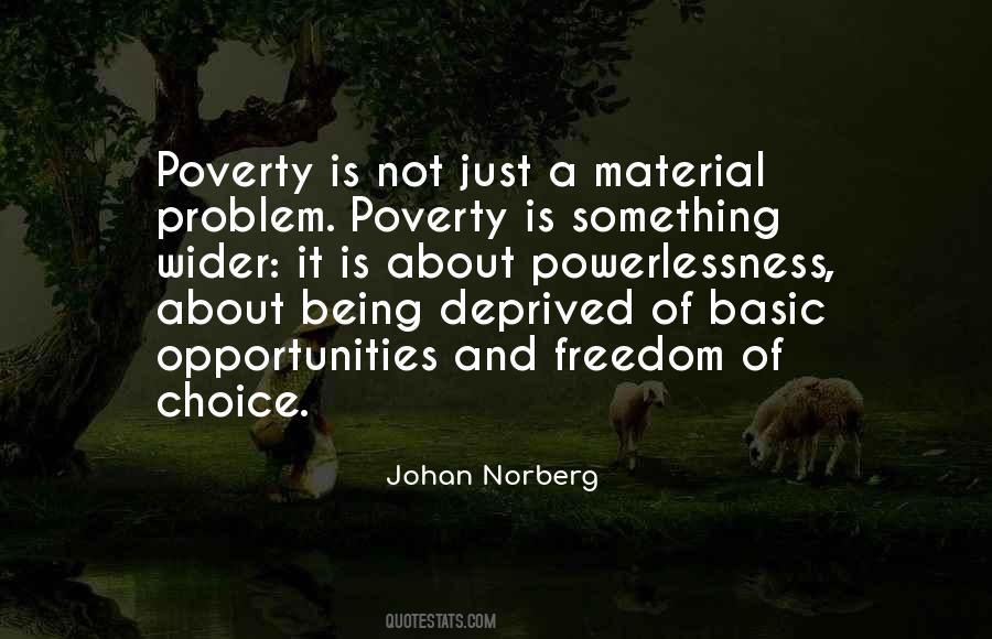 Johan Norberg Quotes #908152