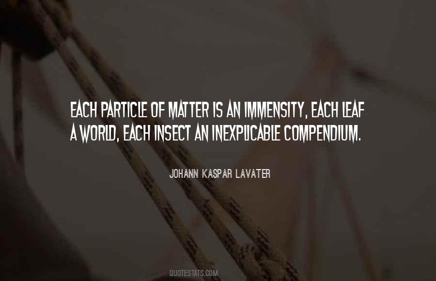 Johann Kaspar Lavater Quotes #1061343