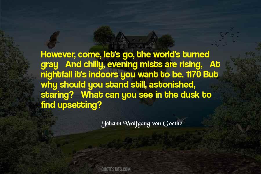 Johann Wolfgang Von Goethe Quotes #790964