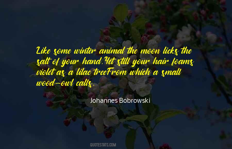 Johannes Bobrowski Quotes #573481