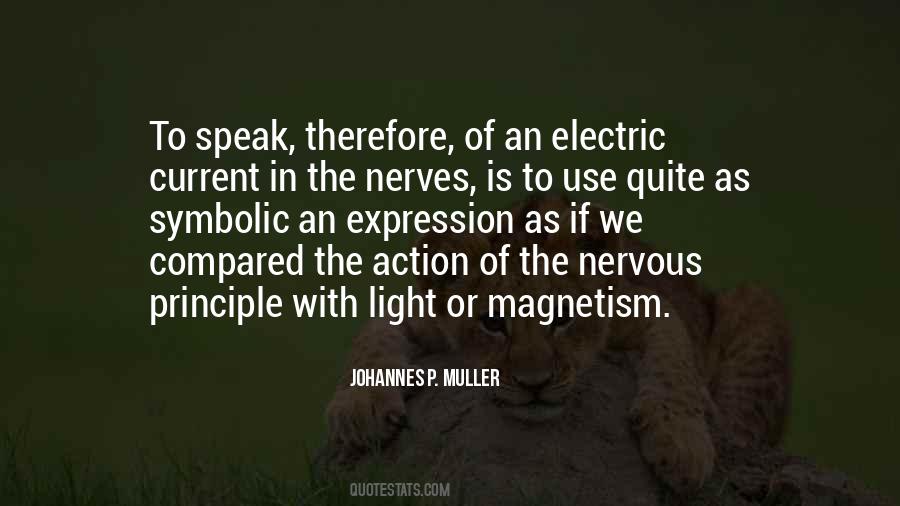 Johannes P. Muller Quotes #184191