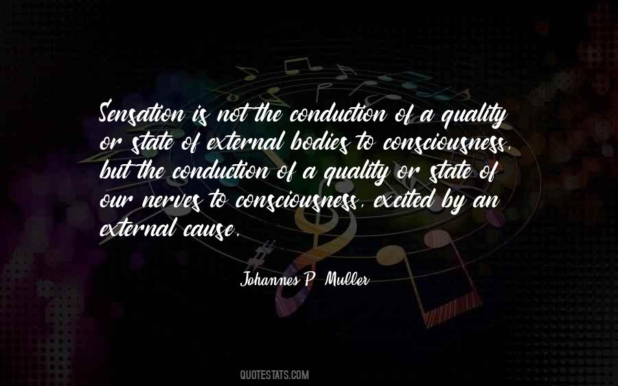 Johannes P. Muller Quotes #321649