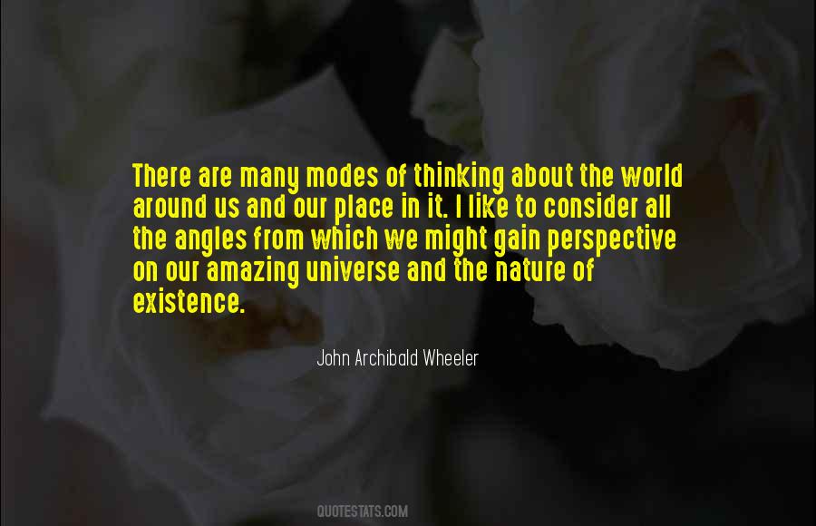 John Archibald Wheeler Quotes #381264