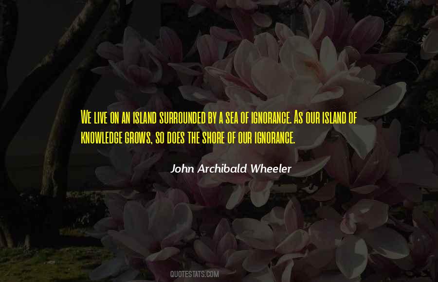 John Archibald Wheeler Quotes #408082