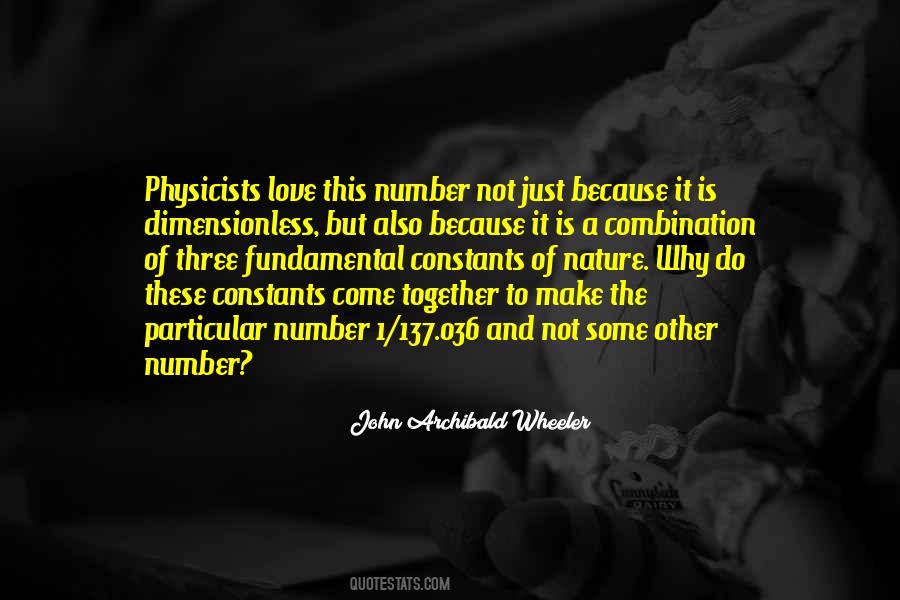 John Archibald Wheeler Quotes #460800