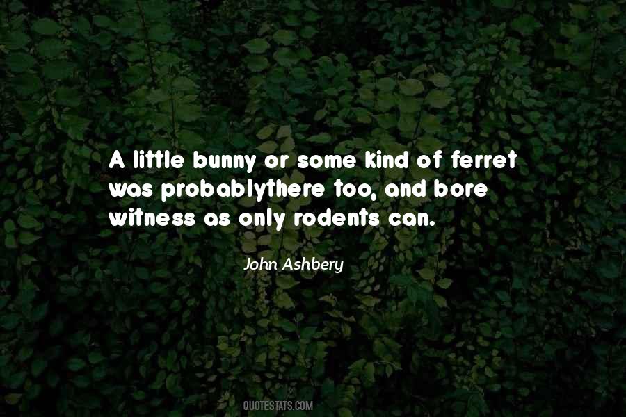 John Ashbery Quotes #1671502