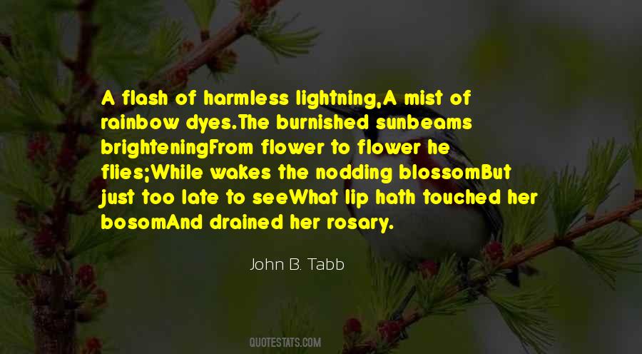 John B. Tabb Quotes #694588