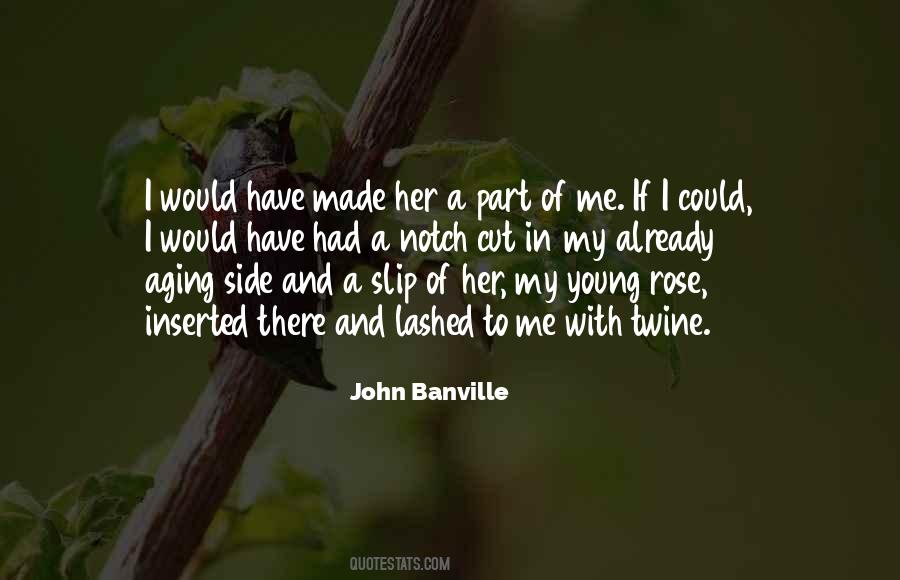 John Banville Quotes #1608493