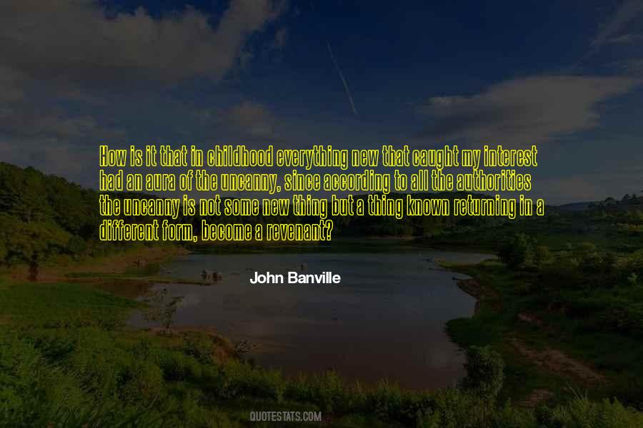 John Banville Quotes #412898